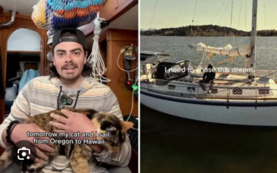 Sailing Into the Unknown: Oliver, Phoenix, and the Hero’s Journey to Freedom